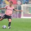 Palermo, il report dell'allenamento odierno
