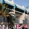 Palermo-Juve Stabia, debutto al Barbera con la Serie A nel mirino