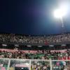 Palermo-Sampdoria, 33.196 spettatori