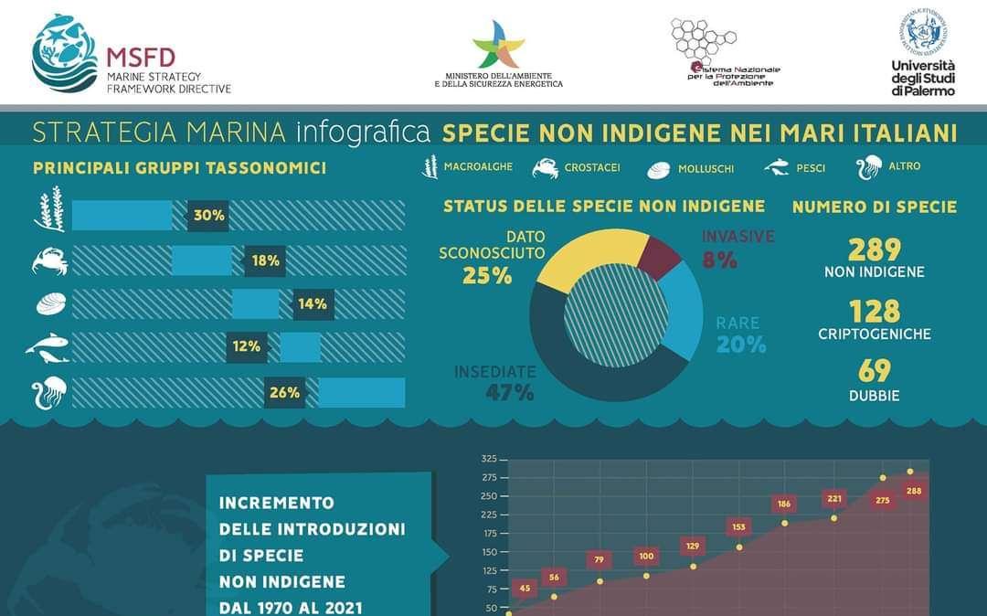 ARPA, coralli da record, sotto osservazione rifiuti marini e specie aliene