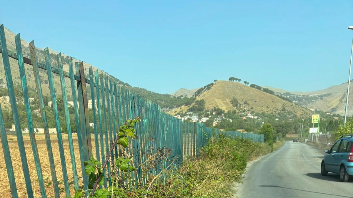 Cura manutenzione del verde urbano, partito nuovo programma di interventi