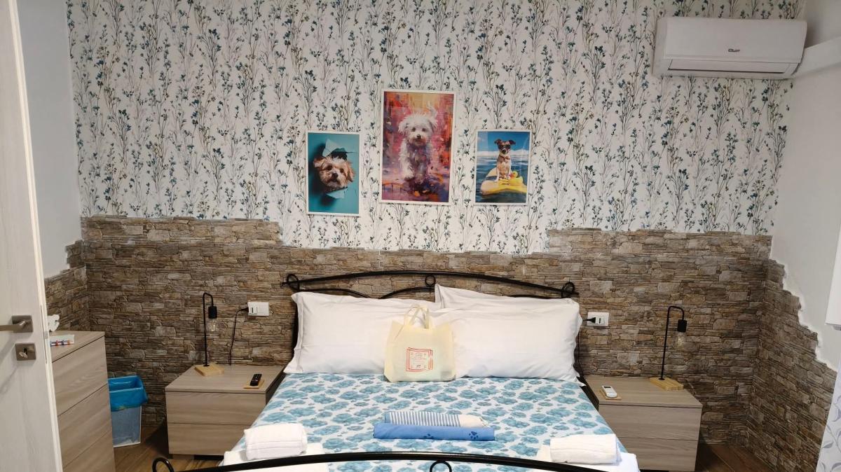 La Chicca di Milù, ad Alcamo l’oasi pet-friendly dove i cani sono davvero di casa