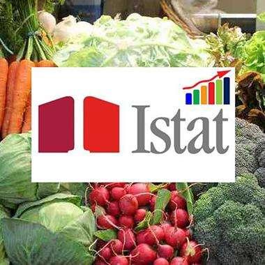 ISTAT, pubblicati dati definitivi prezzi al consumo di maggio 2025