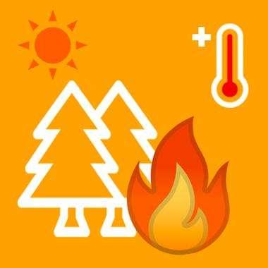 Allerta meteo, a Palermo per rischio incendi e ondate di calore