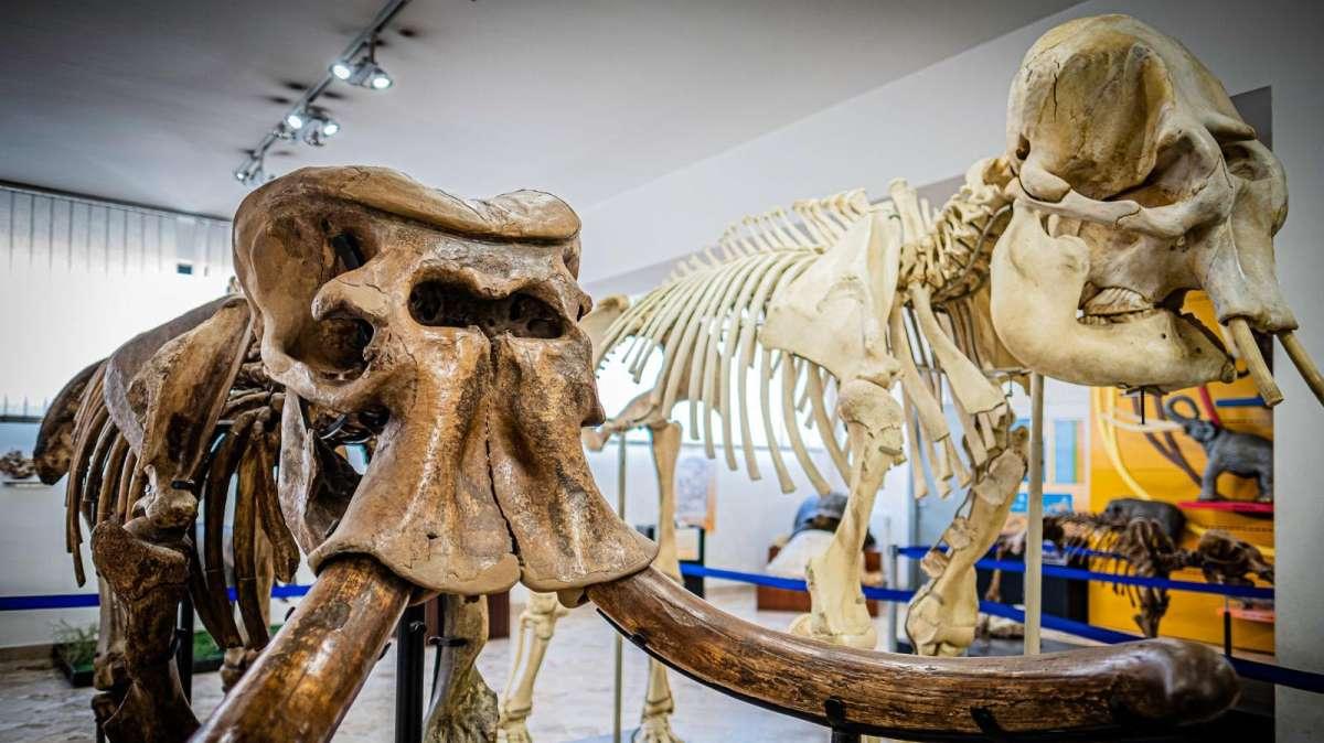 Sicilia, musei e parchi archeologici regionali aperti e gratuiti il 25 aprile