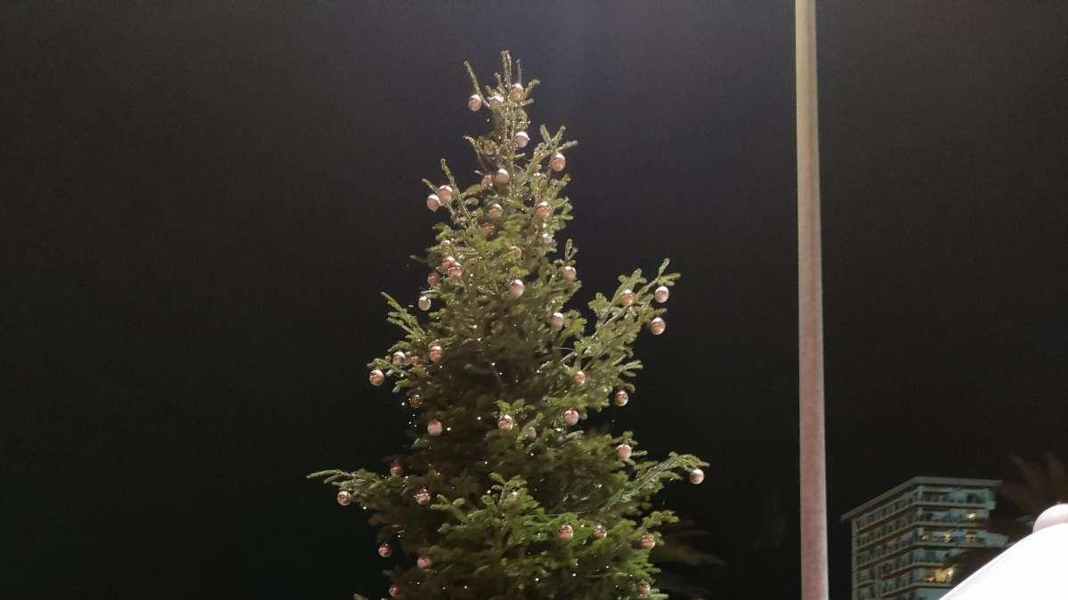 Palermo, "promo Xmas" per Pisa e Cremonese