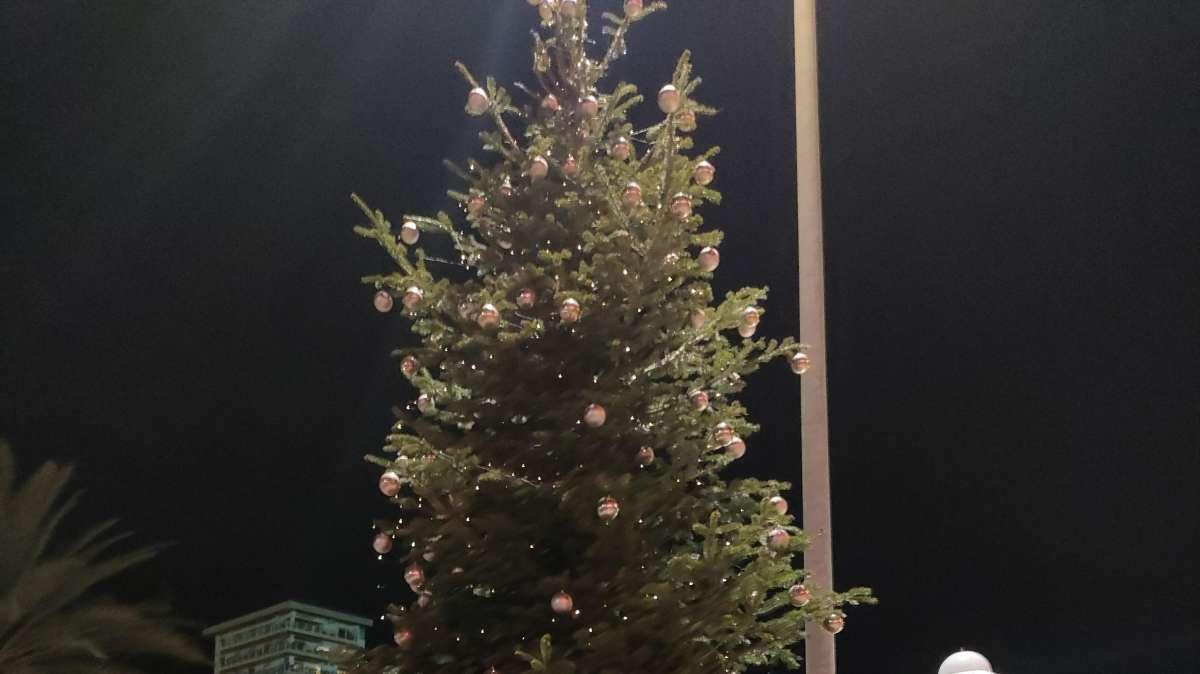 Palermo, domani accensione luci albero di Natale 