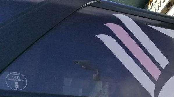 Primavera 3, Catania-Palermo: 4-1. I rosanero hanno perso il primato ma...