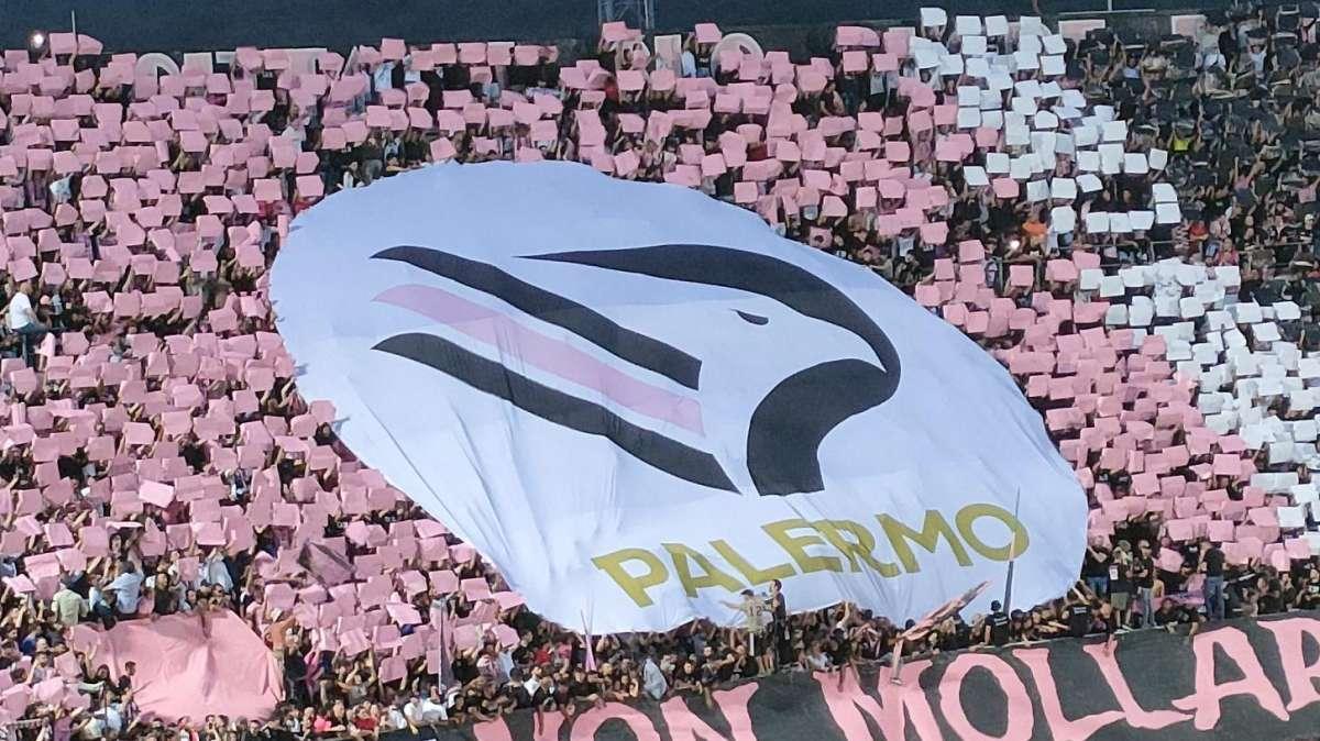 Palermo, gli attuali movimenti ufficiali di calciomercato