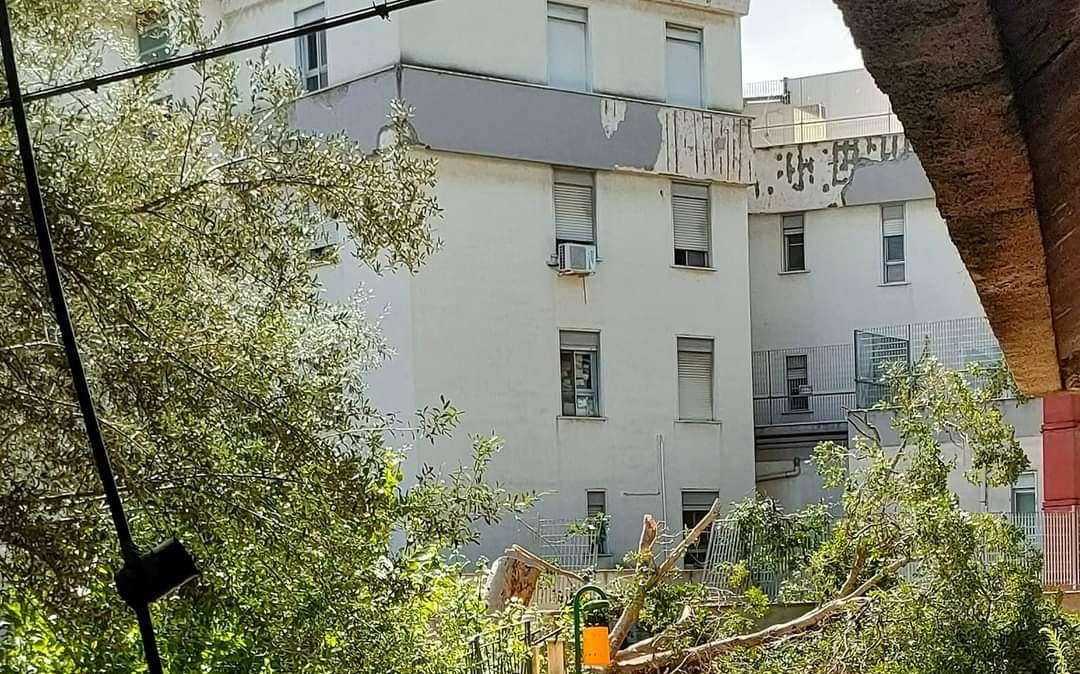 PTA Casa del Sole, sospese le attività di sportello a causa di un guasto alla cabina elettrica