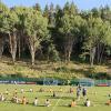 Pescara, 3-0 il parziale nel primo tempo nell'amichevole contro il Collecorvino
