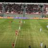 Messaggero - Grifo, col Pescara ko e tanta rabbia