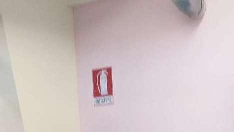 Zauri: “Brunori, Cisco ed Ingelsson partiranno. Su Pettinari e Melchiorri..”