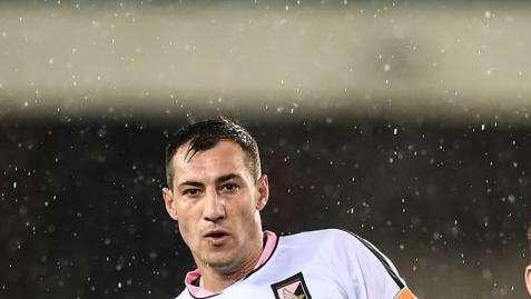 QUI VERONA - Gustafson: "Pescara forte ma possiamo giocarcela"