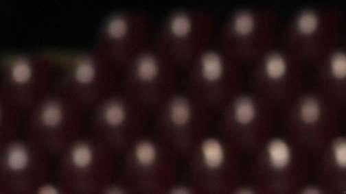 Calciomercato Pescara, smentito l'interesse per Migliorini