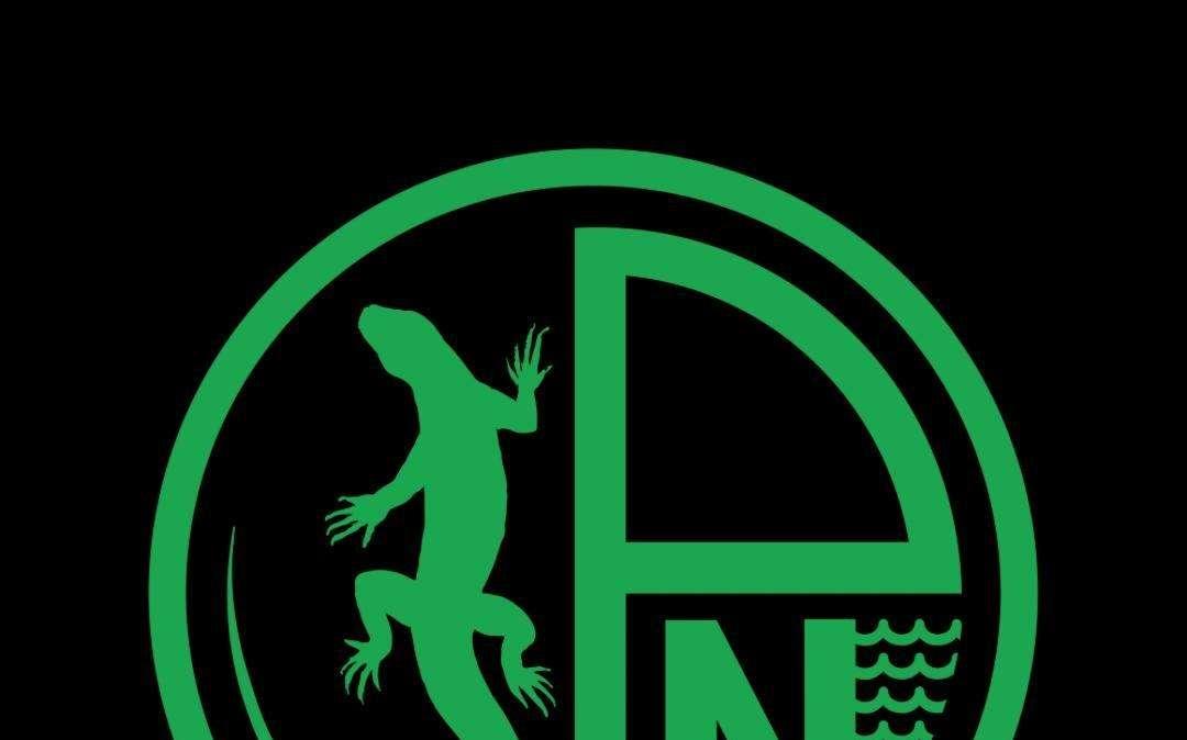 Pordenone Fc: svelato sui social il primo storico logo