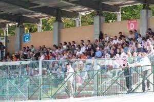 Pavia-Pordenone, si gioca sabato 14 Marzo alle 16:00