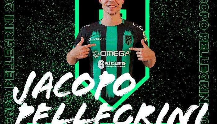 Pordenone Calcio: ingaggiato l'attaccante Pellegrini dal Sassuolo