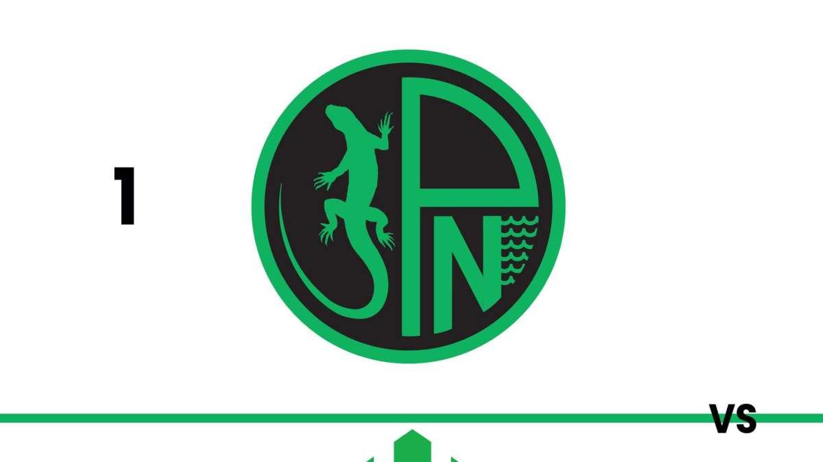 Pordenone Fc: ecco i progetti finalisti. Si vota per il logo ufficiale