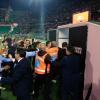 Otto DASPO dopo la rissa in tribuna durante Palermo-Catanzaro