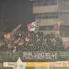 Giudice Sportivo, multa al Bari dopo la trasferta di Potenza