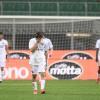 Primavera 3, il cammino del Potenza nel prossimo campionato