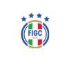 Consiglio federale della FIGC, il resoconto