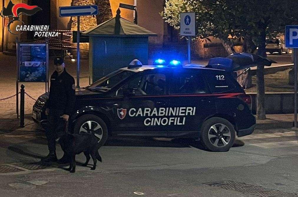 HASHISH, MARIJUANA E UN KIT PER LA COLTIVAZIONE IN CASA: I CARABINIERI ARRESTANO UN 40ENNE