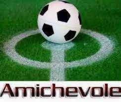 Il 6 Agosto il Potenza disputerà una partita amichevole con una squadra di Serie B