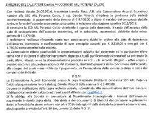 Vertenze: ecco le condanne della C.A.E. nei confronti del Potenza...