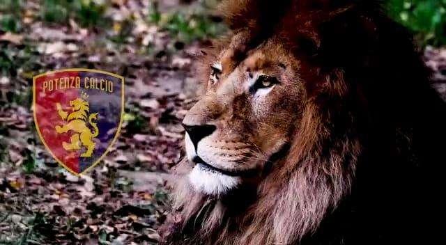 "Lunedì da leoni", questa sera su "Voci in gioco"