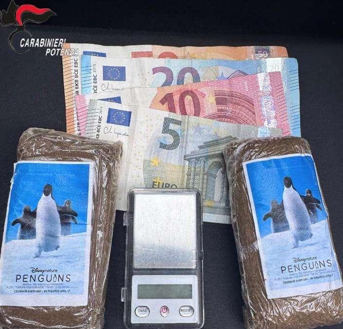 Detenzione e spaccio di sostanze stupefacenti, un arresto a Potenza