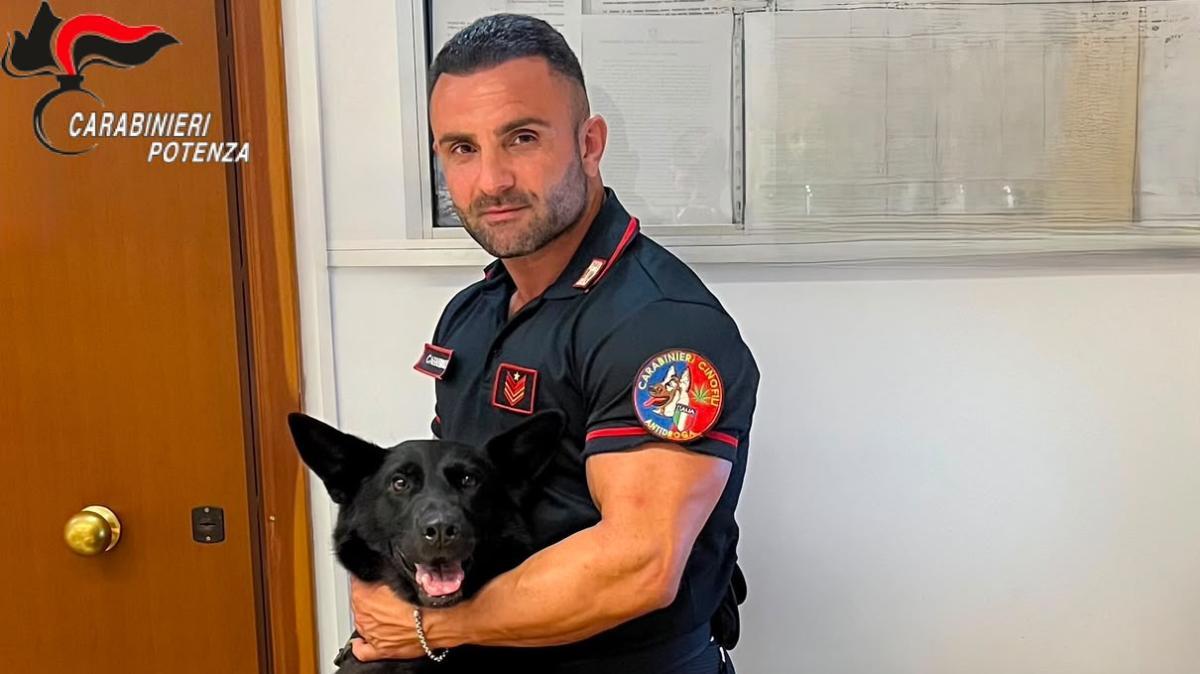 Servizi di Ferragosto e contrasto allo spaccio: i carabinieri sequestrano cocaina e pericolose sostanze psichedeliche sintetiche nel potentino