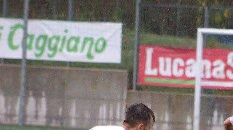 Foto Mancino.