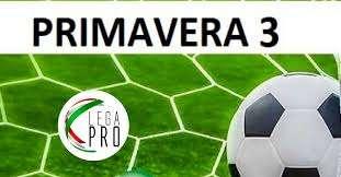 Primavera 3, ecco il nuovo girone del Potenza per quanto riguarda la stagione 2024/2025