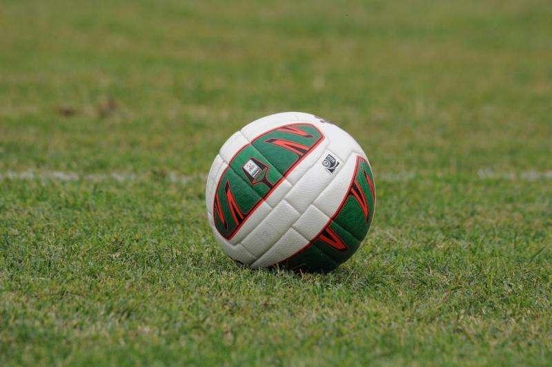 L'associazione "Io Amo il Potenza" precisa...