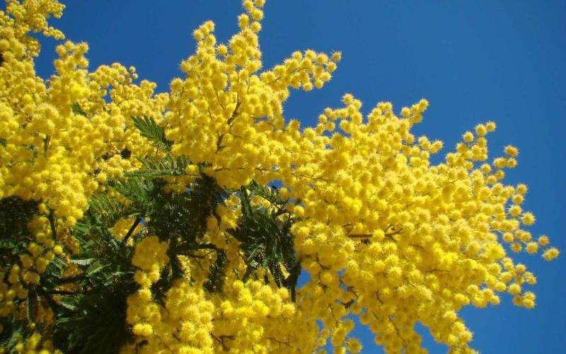 Buona festa delle donne a tutte le tifose del Potenza.