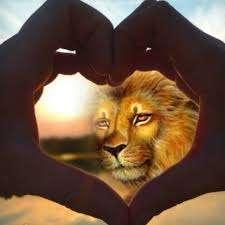 Questa sera su Tele Radio Studio Web sono di scena i "Cuori da Leone" con "Potenza nel Cuore"