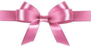 FIOCCO ROSA IN CASA POTENZA