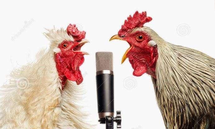 Che caos in Serie C dove ci sono tante posizioni differenti e quando tanti galli cantano non fa mai giorno.