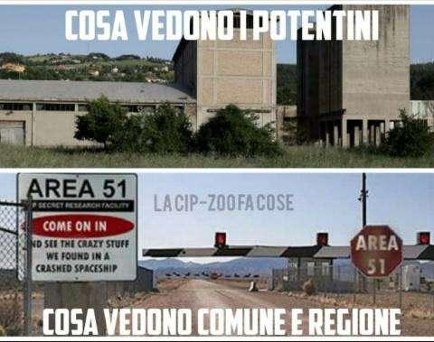 Cosa succede... Cosa succede alla Cip Zoo...