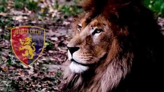 "Lunedì da leoni", questa sera su "Voci in gioco"