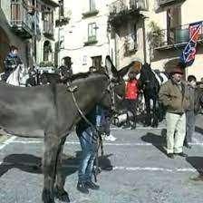 Pignola, donna di 48 anni è in gravi condizioni dopo essere caduta da cavallo prima del tradizionale palio di Sant’Antonio