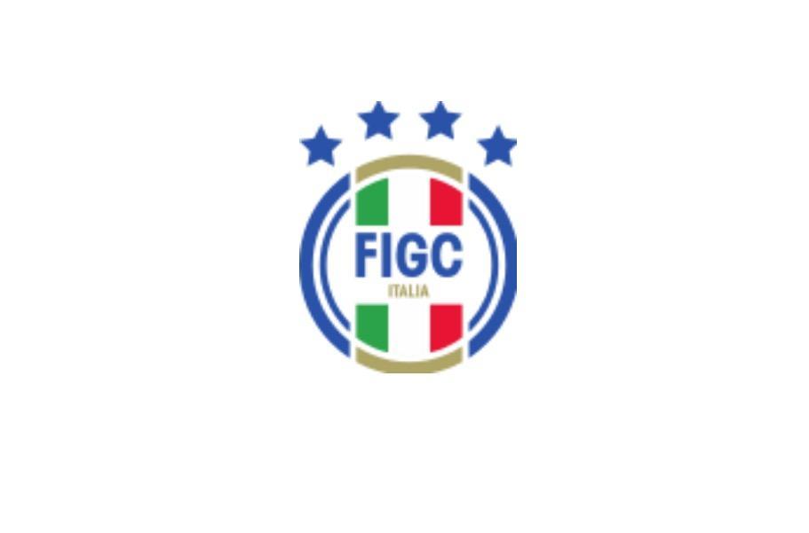 Consiglio federale della FIGC, il resoconto