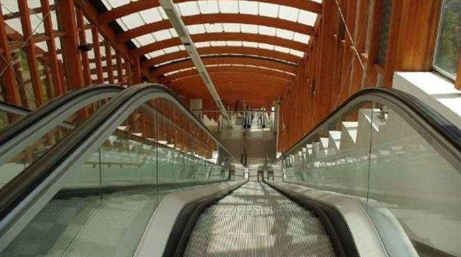 Trasporto pubblico, finisce l'era della Trotta a Potenza. Subentra Miccolis: tutte le novità per il mese di ottobre
