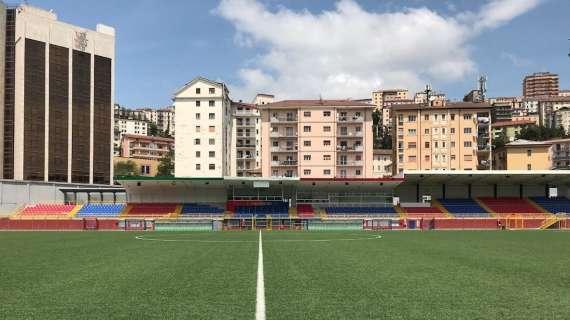 Potenza, sale la quota abbonamenti: il dato aggiornato
