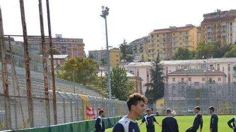 Foto Mancino.