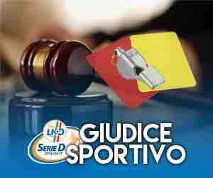 Tutte le altre decisioni del Giudice Sportivo dopo il 18° turno...