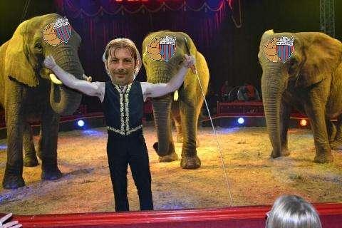 SONO L'ELEFANTE E NON CI PASSO...AL VIVIANI!