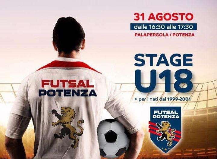 Il Futsal Potenza "lancia" uno stage per giovani calciatori di calcio a 5...